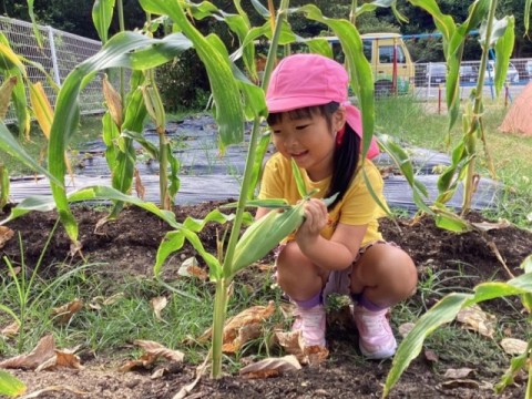 なかよし菜園