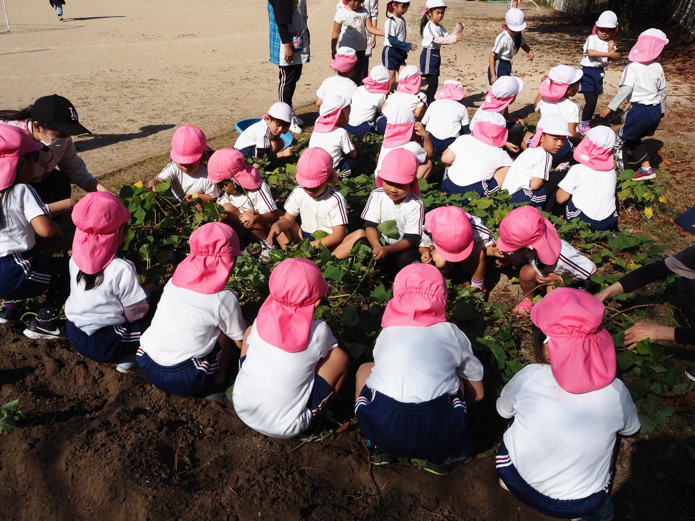 第二幼稚園の特長